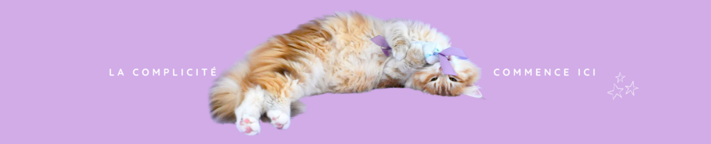 chat qui se roule de bonheur avec son joueet missclémy