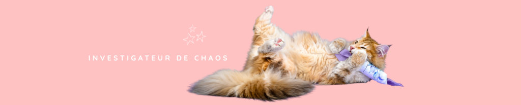 chat qui joue avec son missclémy heureux